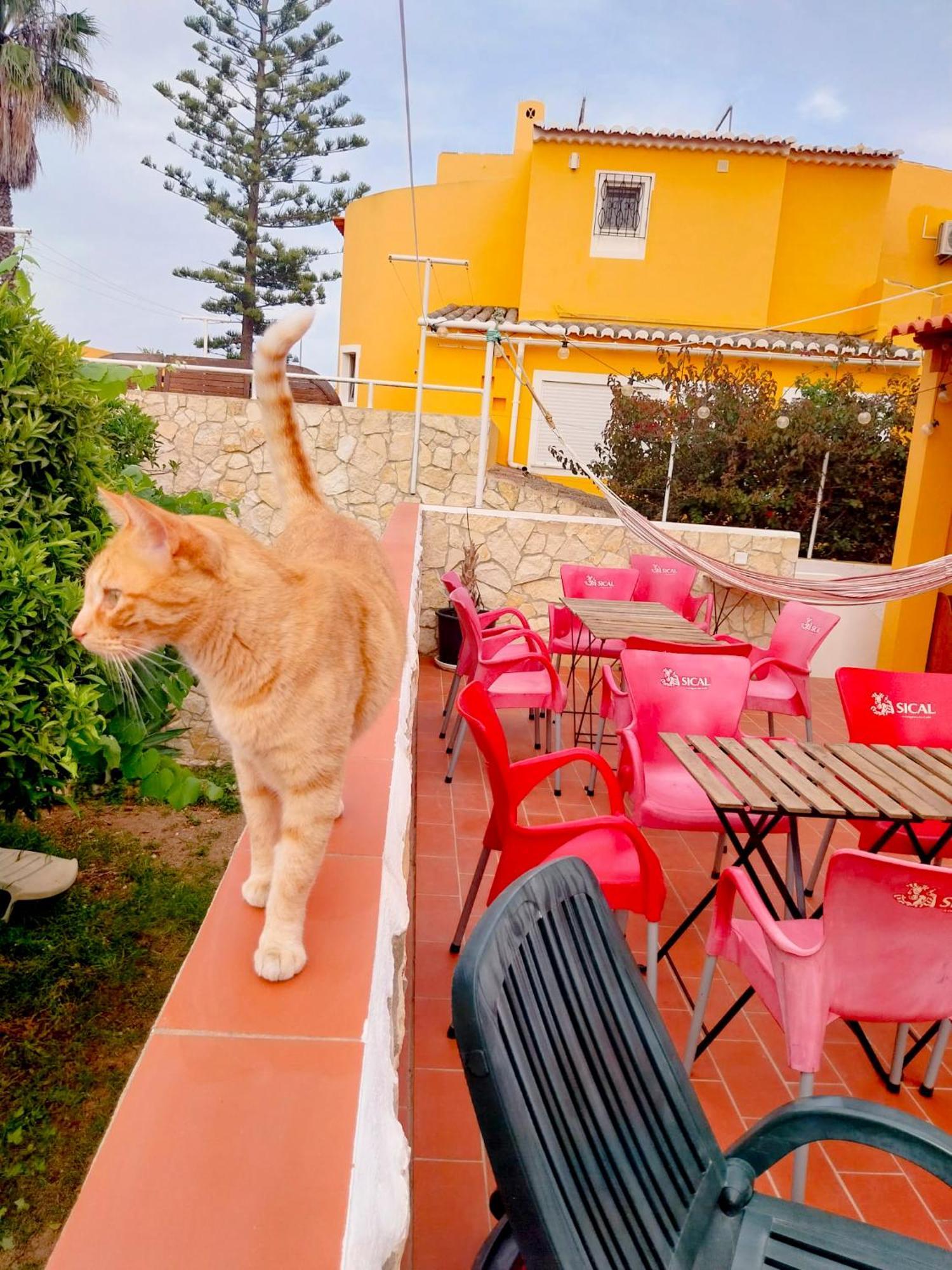 Solemcabana Social Club Appartement *